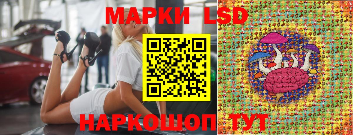 A-PVP Осинники